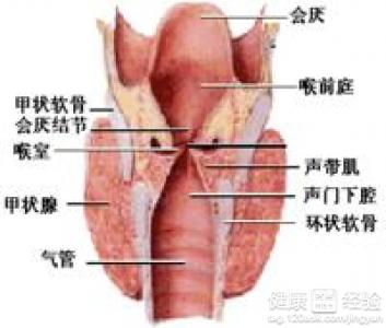 新生兒喉頭疣有什麼危害，如何治療