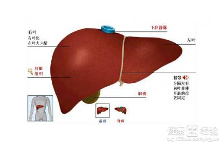 新生兒病毒性肝炎,如何治療呀