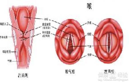 寶寶嗓子啞了怎麼辦