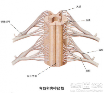 第2步